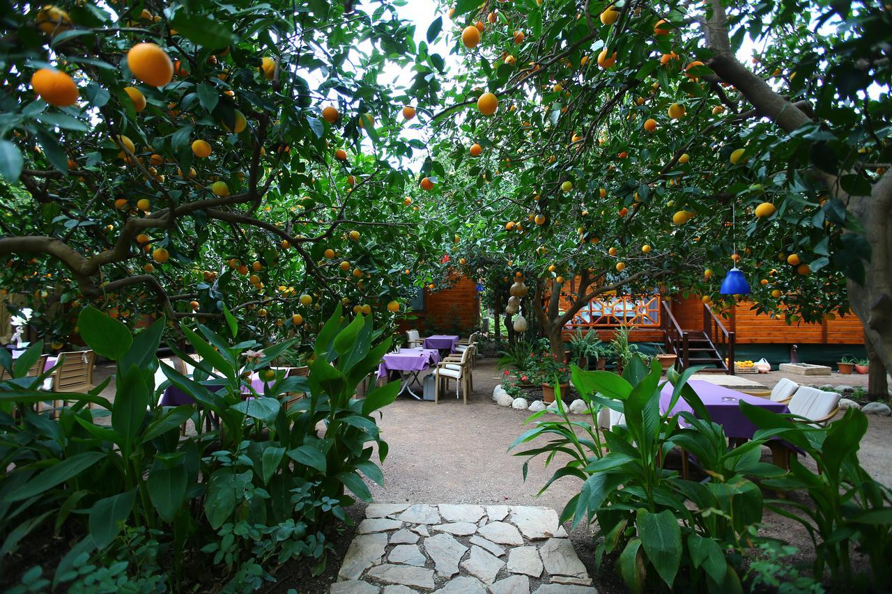 Bahçe Villa Cirali Exterior foto
