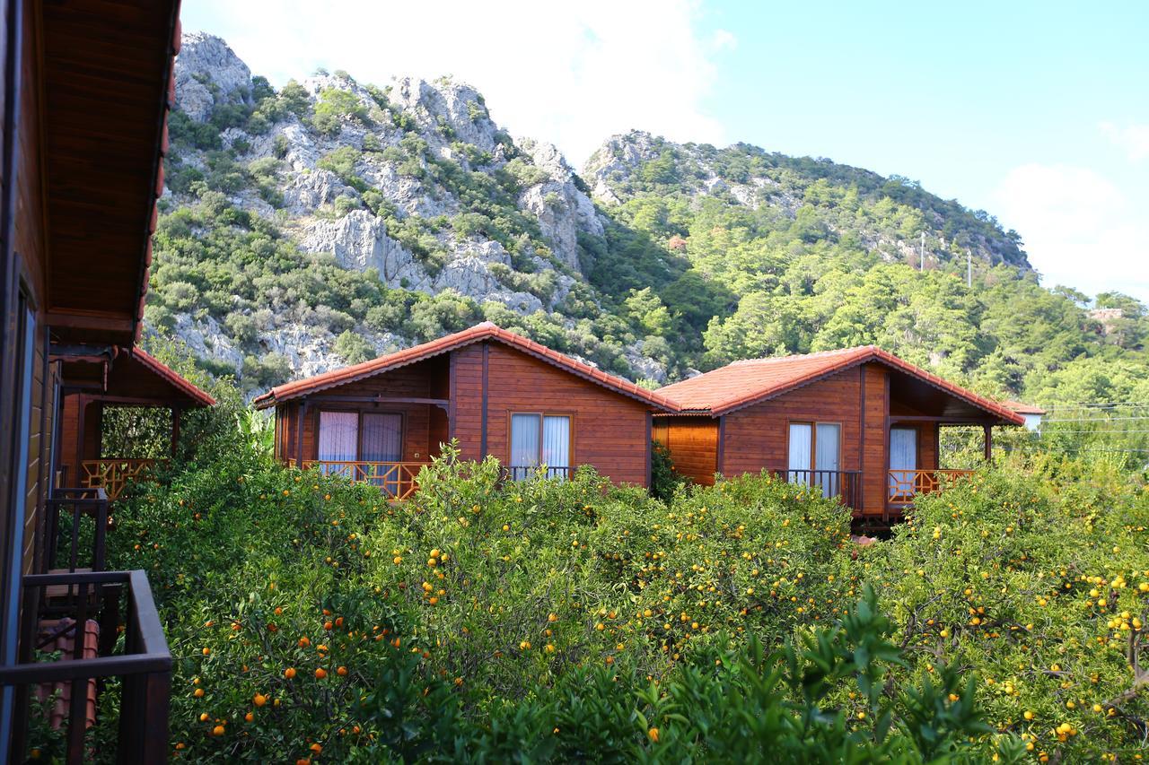 Bahçe Villa Cirali Exterior foto