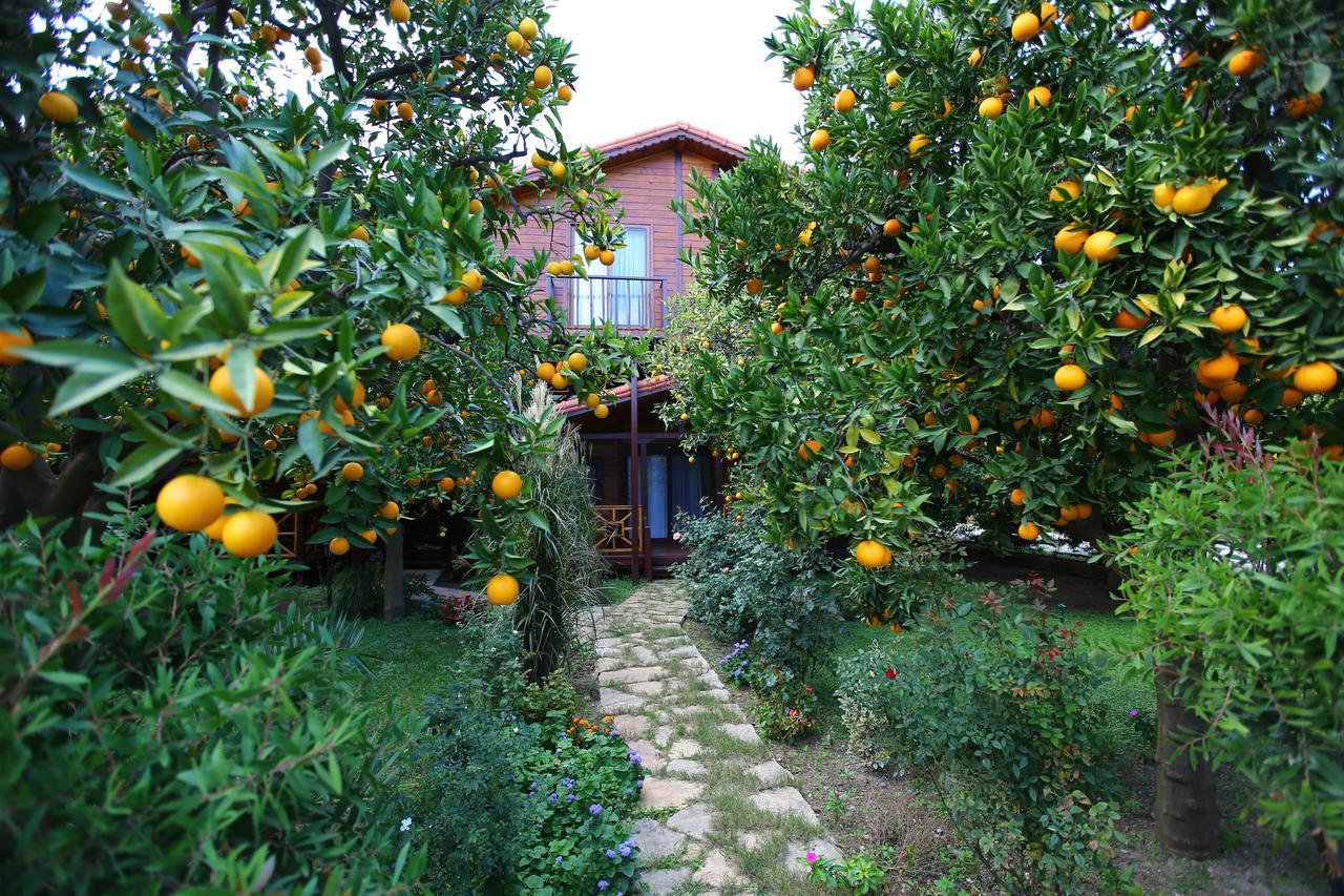 Bahçe Villa Cirali Exterior foto
