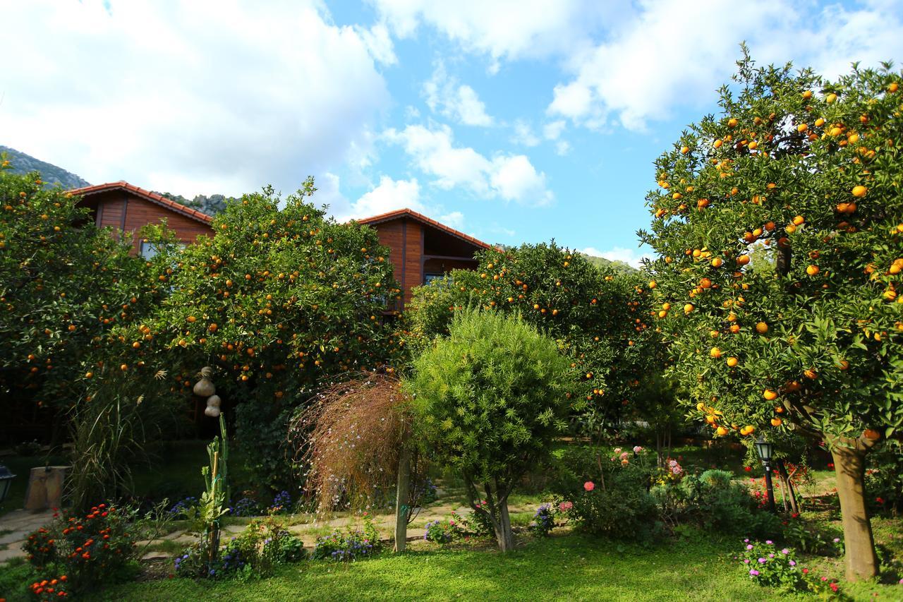 Bahçe Villa Cirali Exterior foto