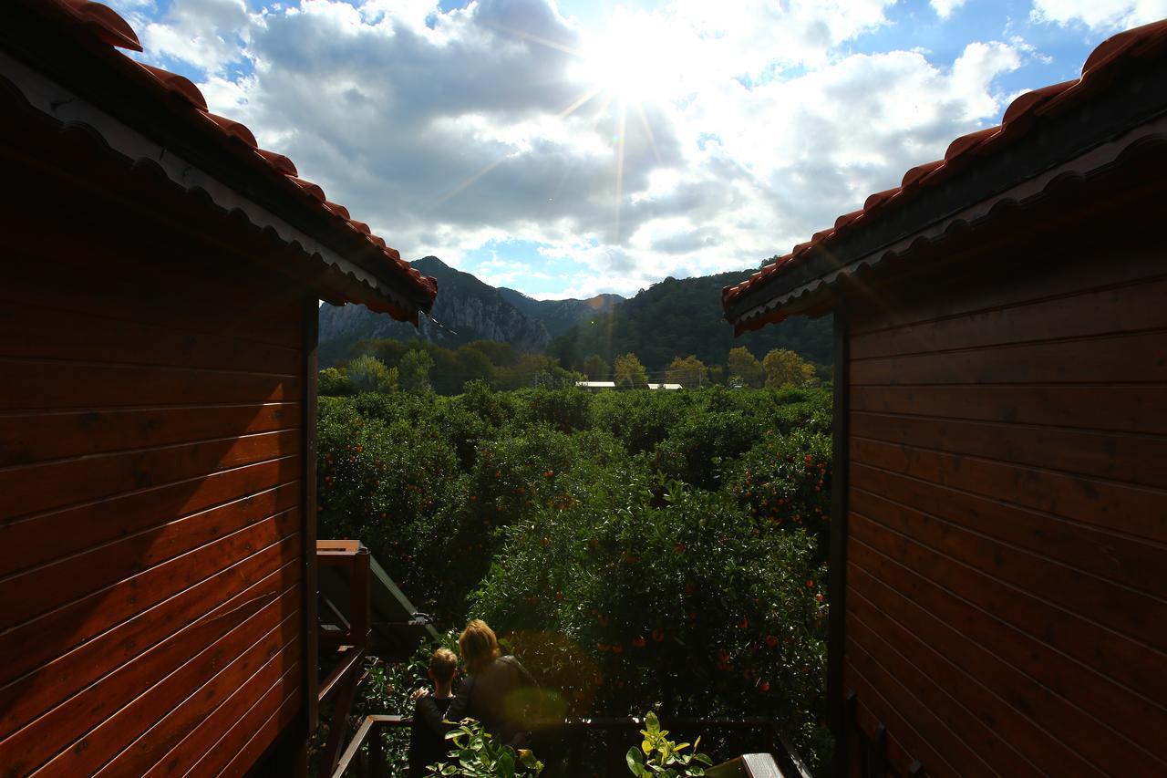 Bahçe Villa Cirali Exterior foto